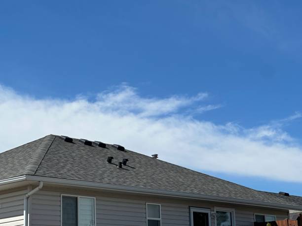 Best Asphalt Shingles Roofing  in Stanton, TX